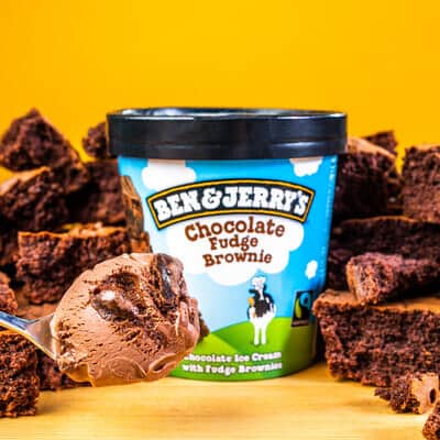 Pint of Chocolate Fudge Brownie