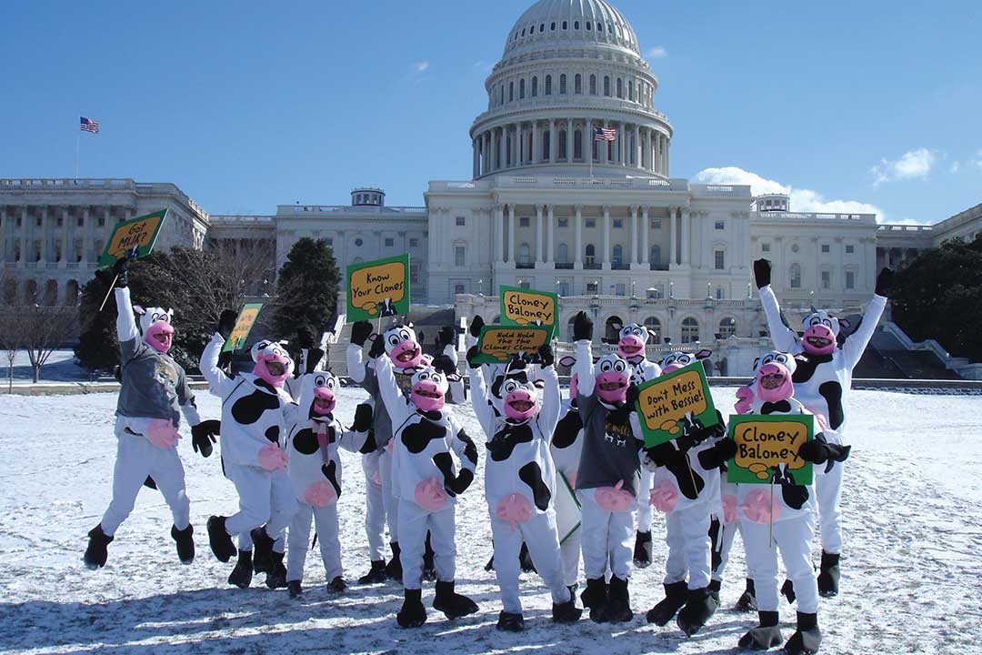 Personer kledd ut som kuer